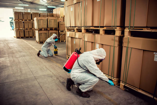 Best Emergency Pest Control  in Quinnipiac University, CT