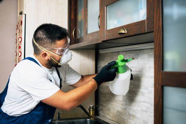 Best Cockroach Control Services  in Quinnipiac University, CT