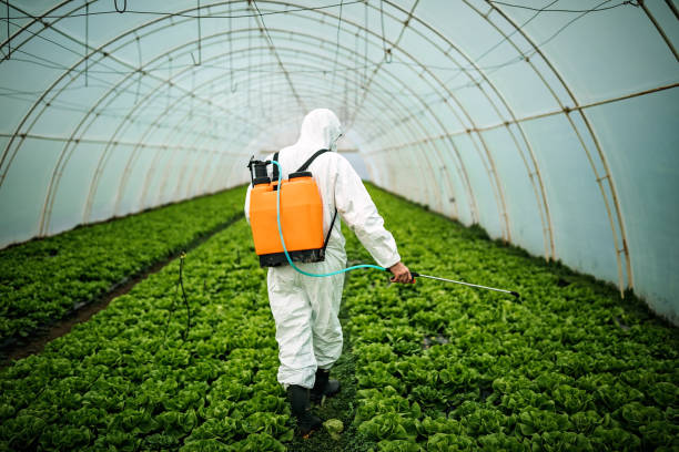 Professional Pest Control in Quinnipiac University, CT