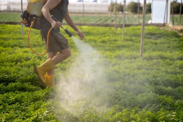 Best Mosquito Control Services  in Quinnipiac University, CT