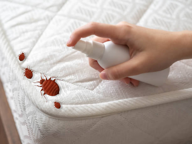 Best Best Pest Control Near Me  in Quinnipiac University, CT